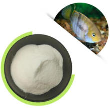 Click Bacillus Coagulans Probiotic Powder For Fish Feed Probiotics Additives Bioculture For Aquaculture